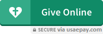Give Online Securely