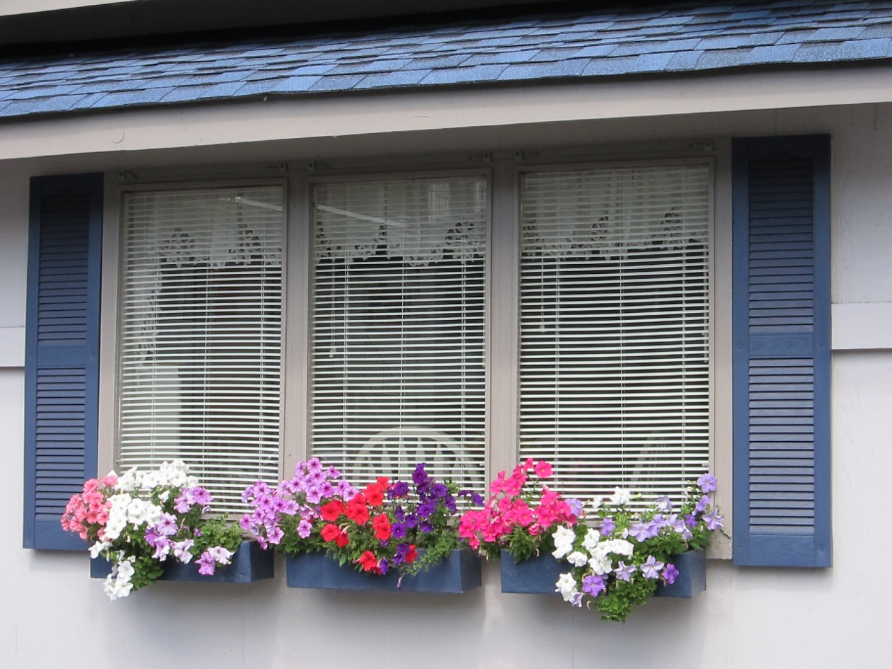 Window Flower Boxes