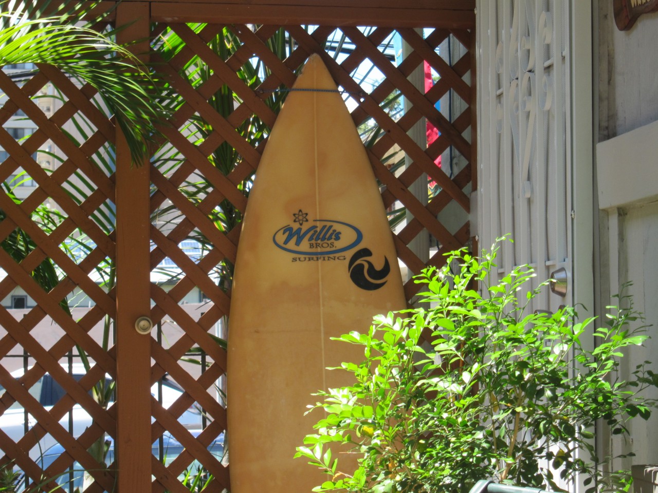 Deck, Front Door